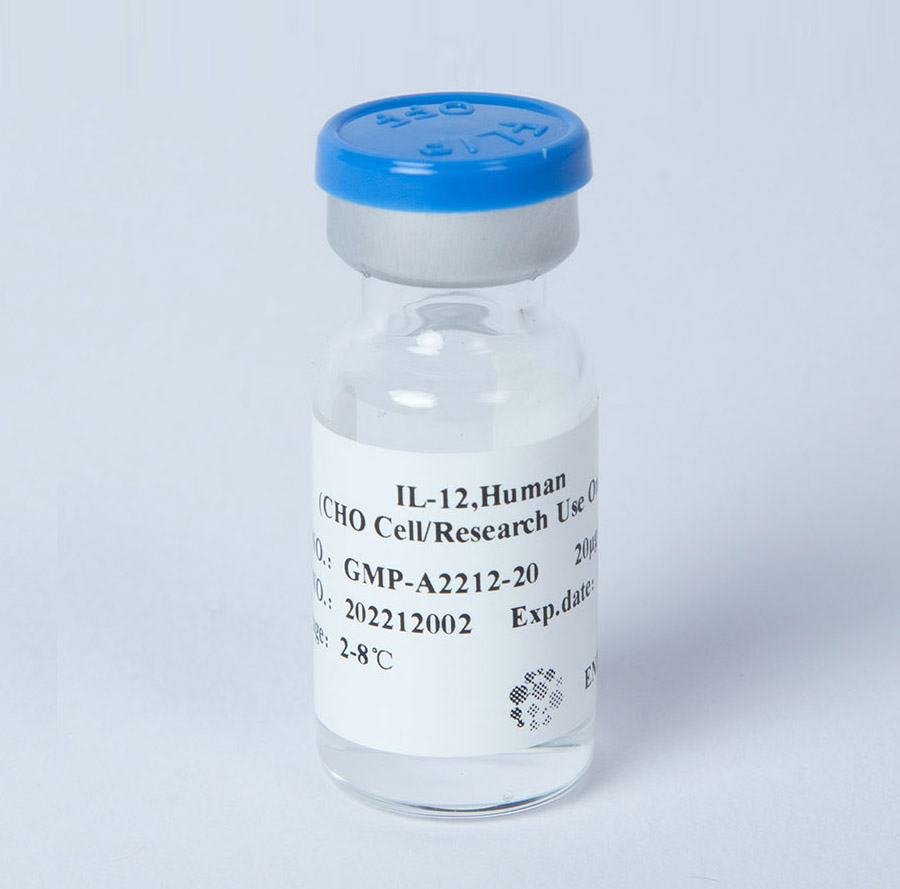 IL-12 GMP级