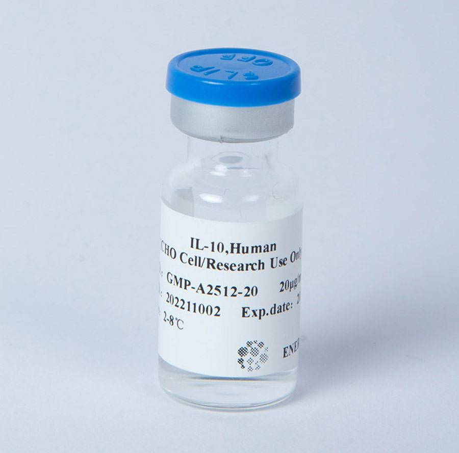 IL-10 GMP级