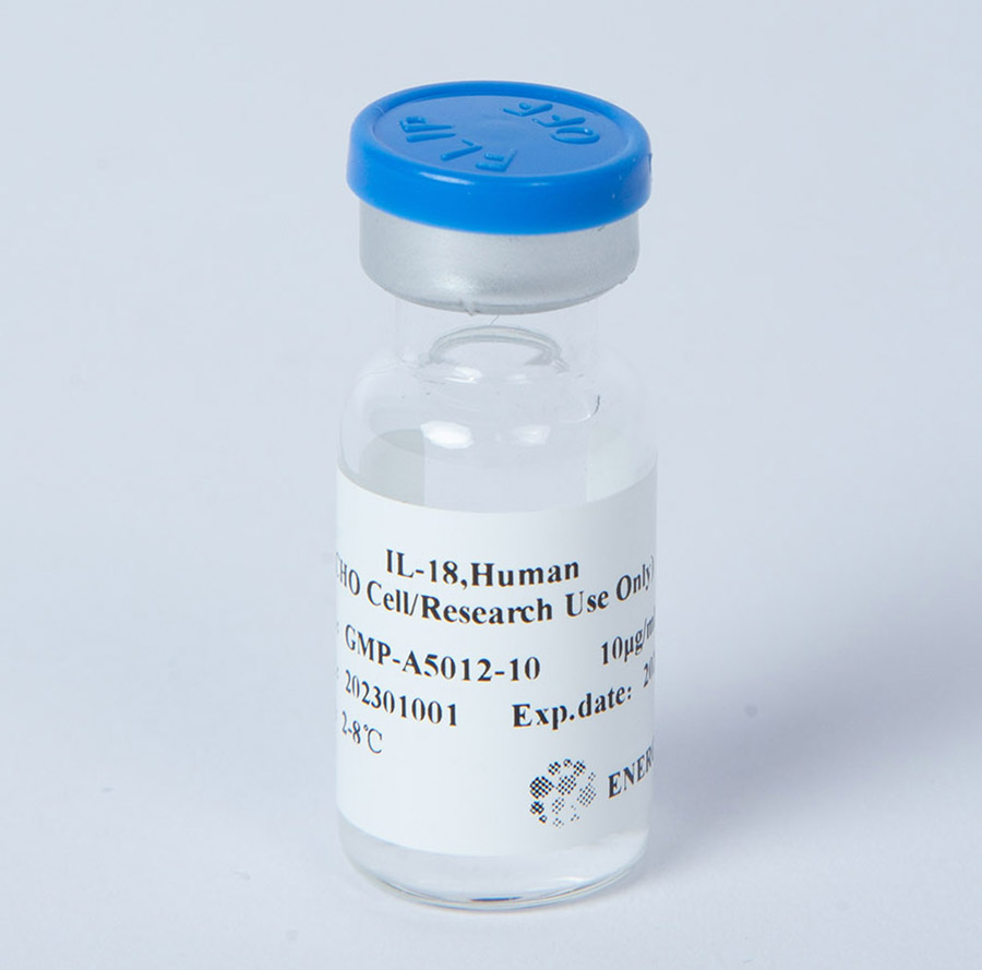 IL-18 GMP级