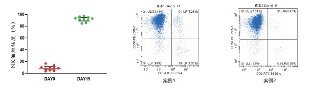 NK细胞阳性率.jpg