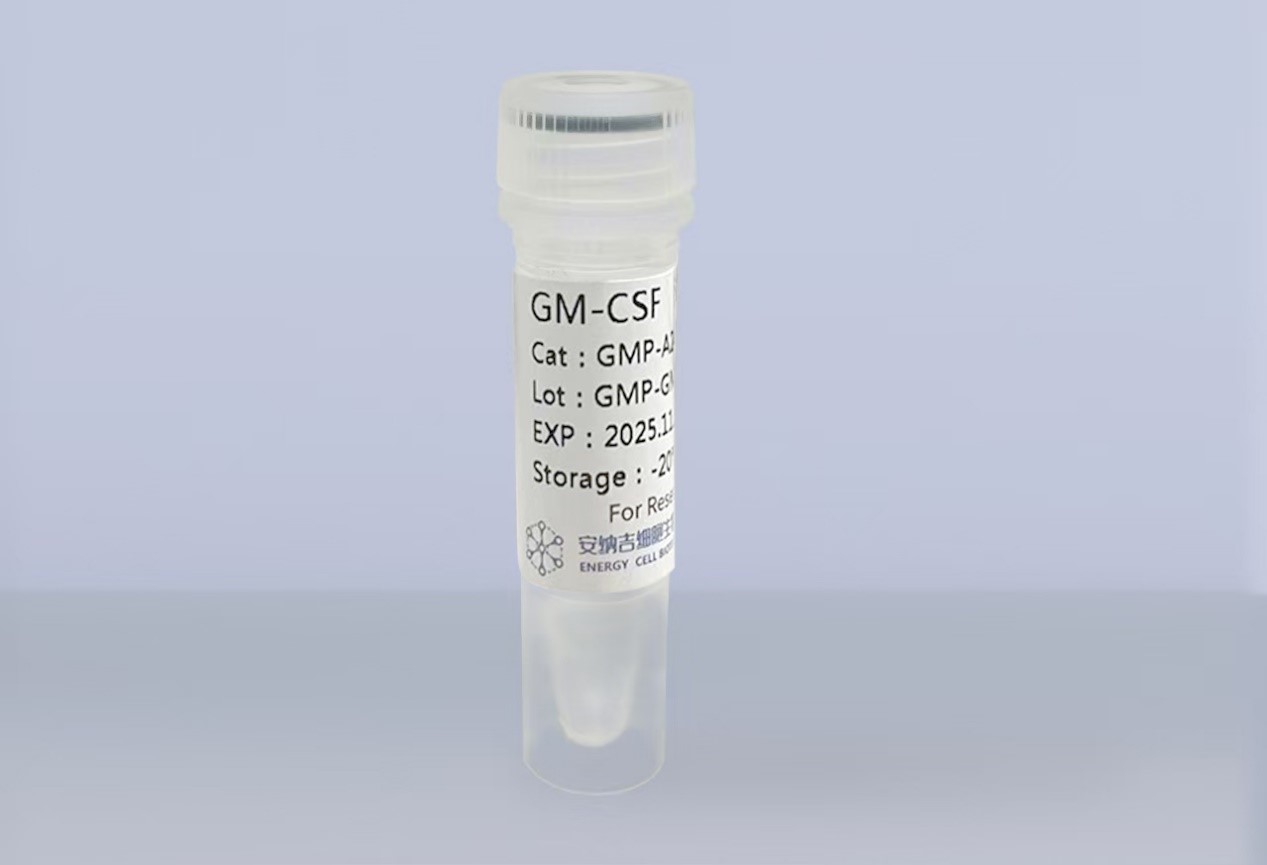 重组人粒细胞-巨噬细胞集落刺激因子（GM-CSF）
