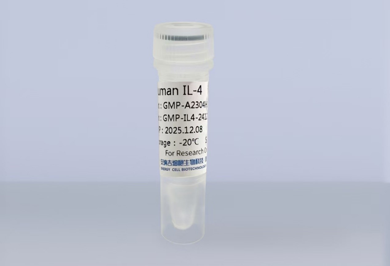 IL-4 GMP级