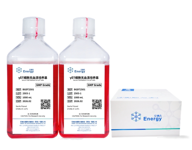 GMP级-γδT细胞激活扩增培养试剂盒